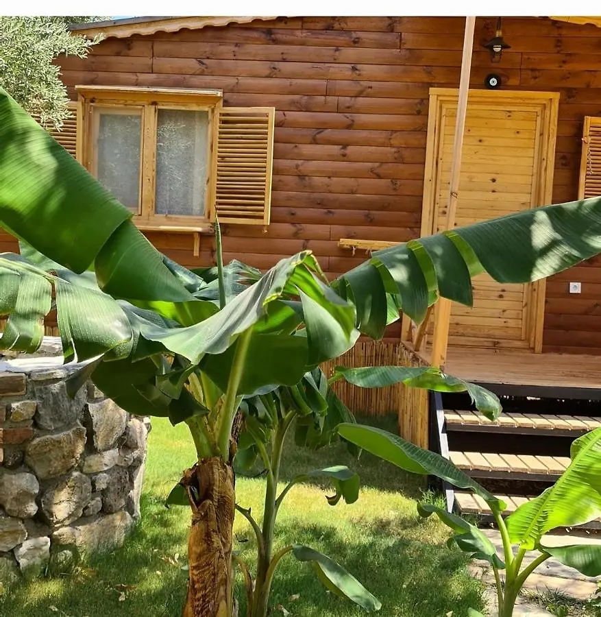 Derin Tas-Bungalow 达特恰
